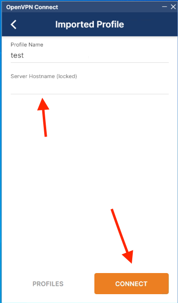 OpenVPN change name