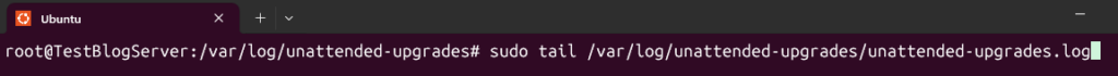 tail Befehl der Log datei für automatische Updates auf Ubuntu Server
