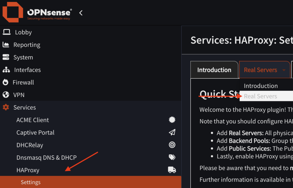 Real Server erstellen