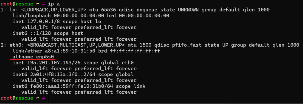 network card altname