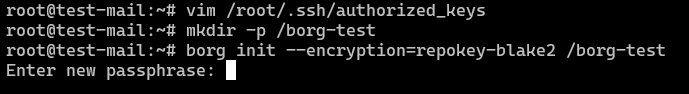 Remote Borg Repository 